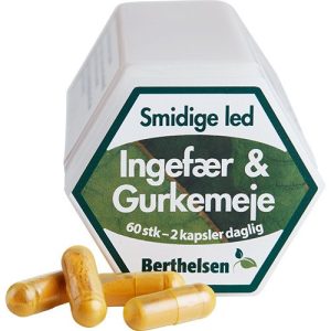 Ingefær & Gurkemeje Berthelsen - 60 kap