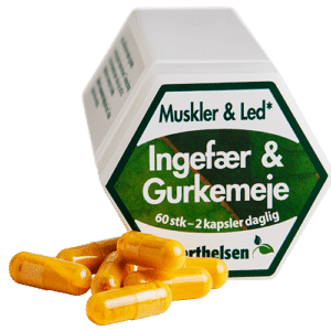 Berthelsen Ingefær & Gurkemeje (60 kaps)